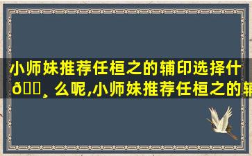 小师妹推荐任桓之的辅印选择什 🌸 么呢,小师妹推荐任桓之的辅 🐅 印选择什么呢